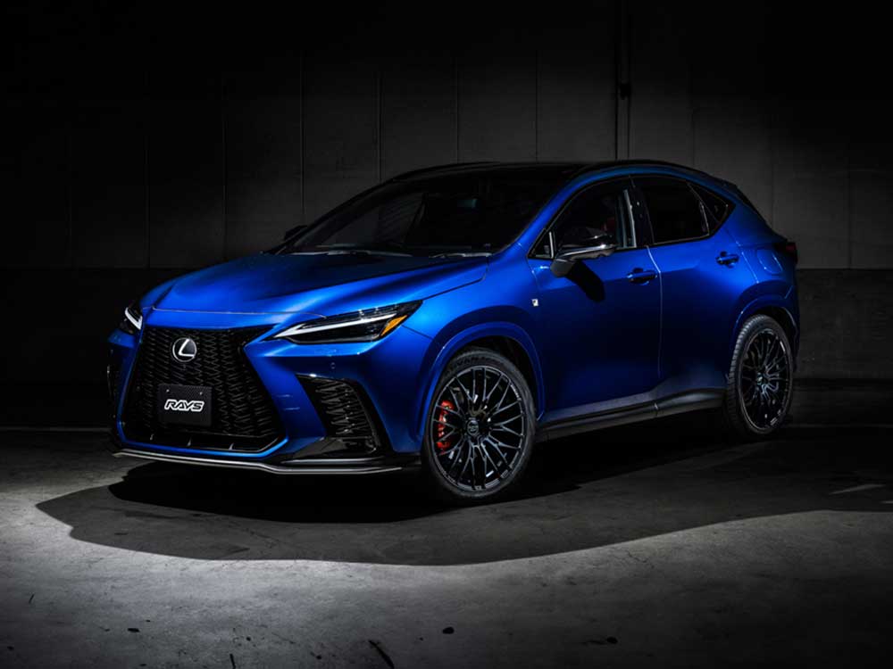 RAYS レイズ ホムラ 2x10BD RAV4 MXAA54 フロント/リア共用 アルミ
