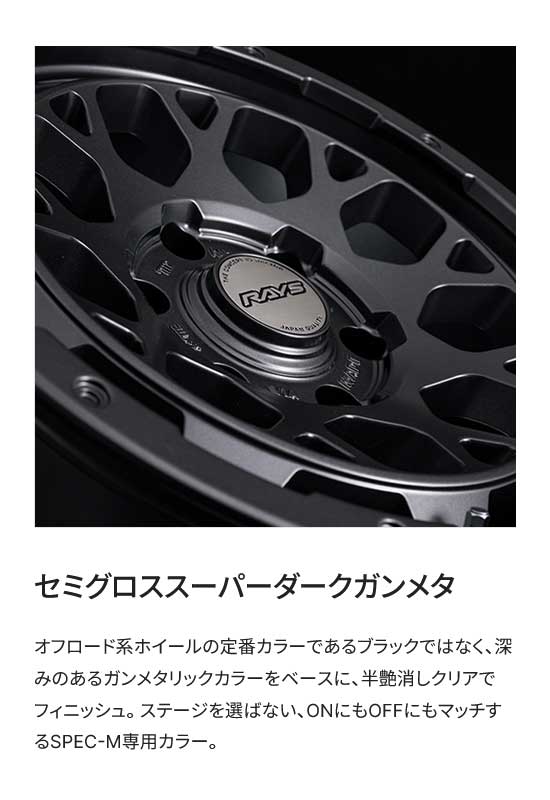 RAYS レイズ チームデイトナ M9プラス スペックM RAV4 MXAA54 F/R共用
