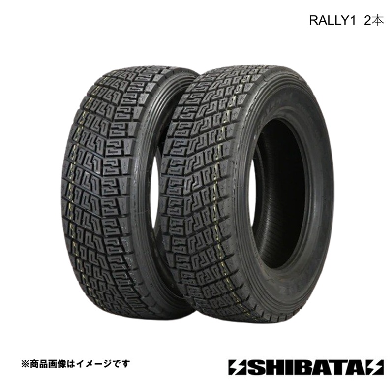 SHIBATIRE シバタイヤ RALLY 1 205/65R15 タイヤ単品 2本セット R1669L