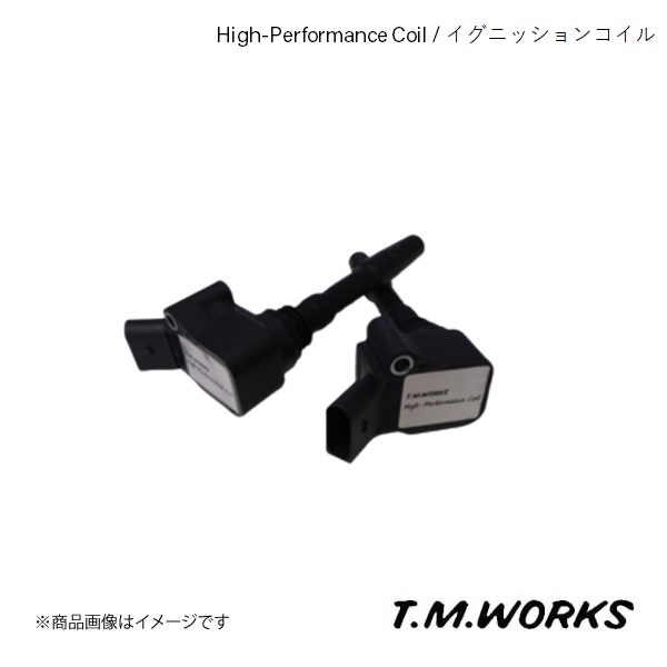 T.M.WORKS ティーエムワークス High-Performance Coil FIAT 500 11.03