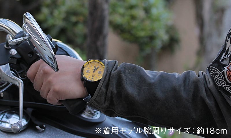 VOSTOK EUROPE EUROPE（ボストーク ヨーロッパ） アンチャール