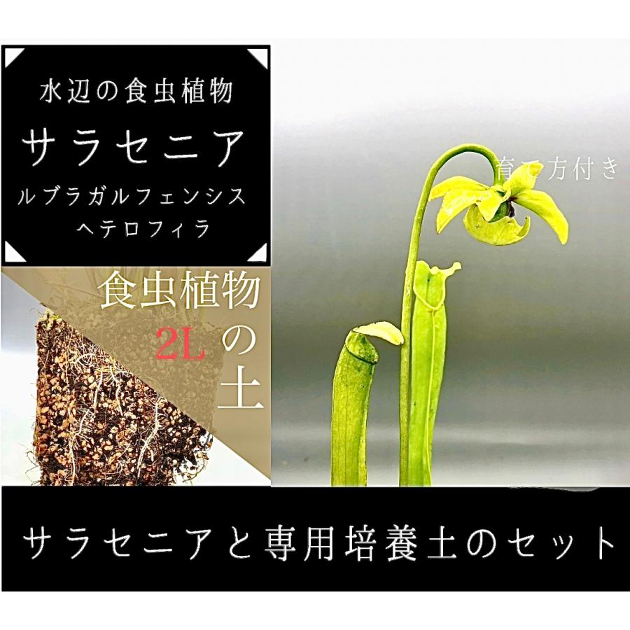 ⭐️Kaneko⭐️商品！よろしければご購入お待ちしております(^^) グリコのおまけ ＊お値下げ＊ グリコのおまけ 4種セット | レトロ