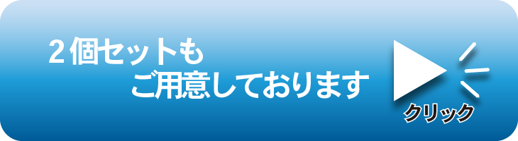 黒糖ほし梅2個案内