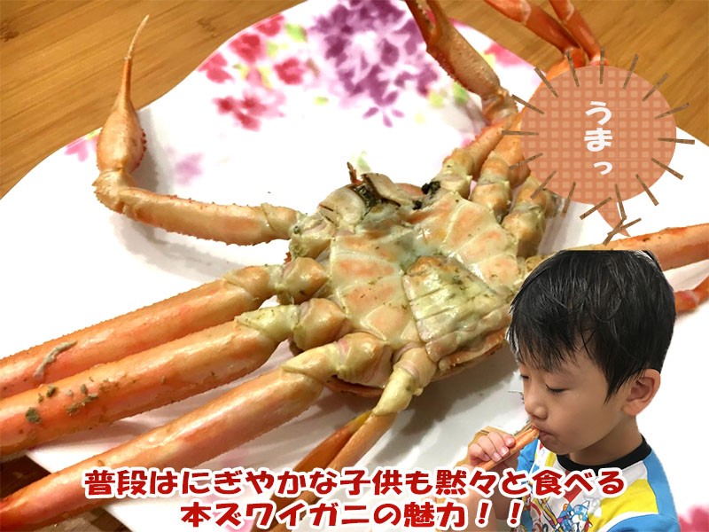 子供も静かに食べる本ズワイガニ