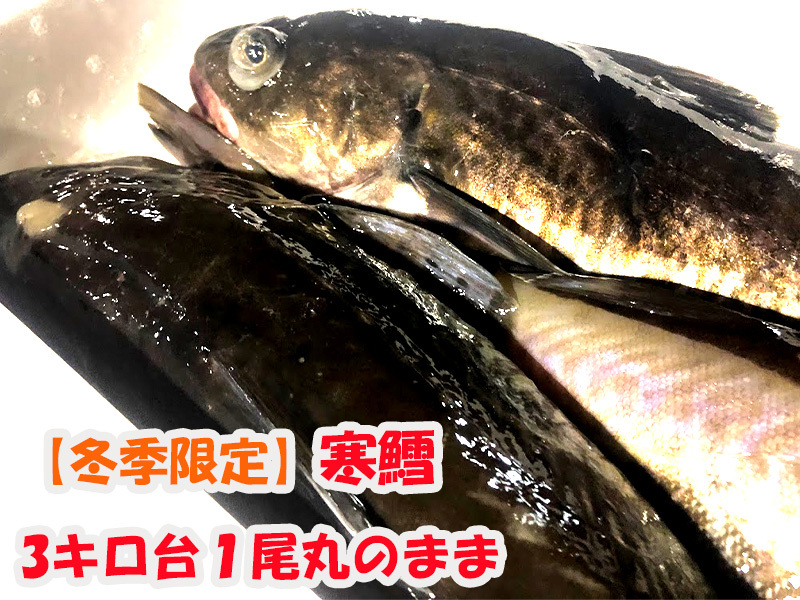 鮮魚