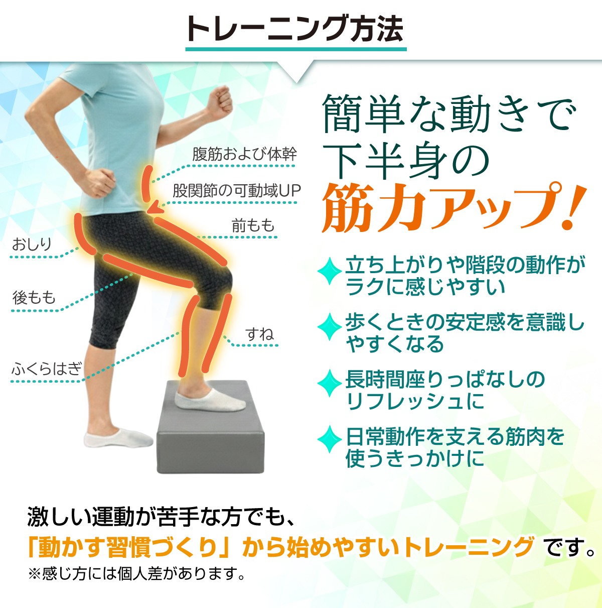 KaRaDa Style 踏み台昇降 ステップ台 高さ 10cm/20cm/30cm 3段調節