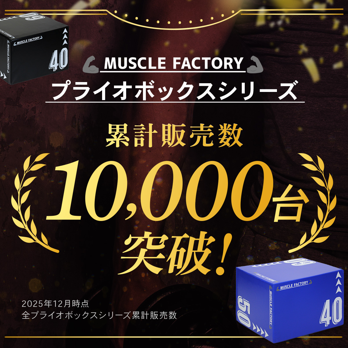 MUSCLE FACTORY ドロップマット 40×60cm 厚さ15cm ダンベルマット