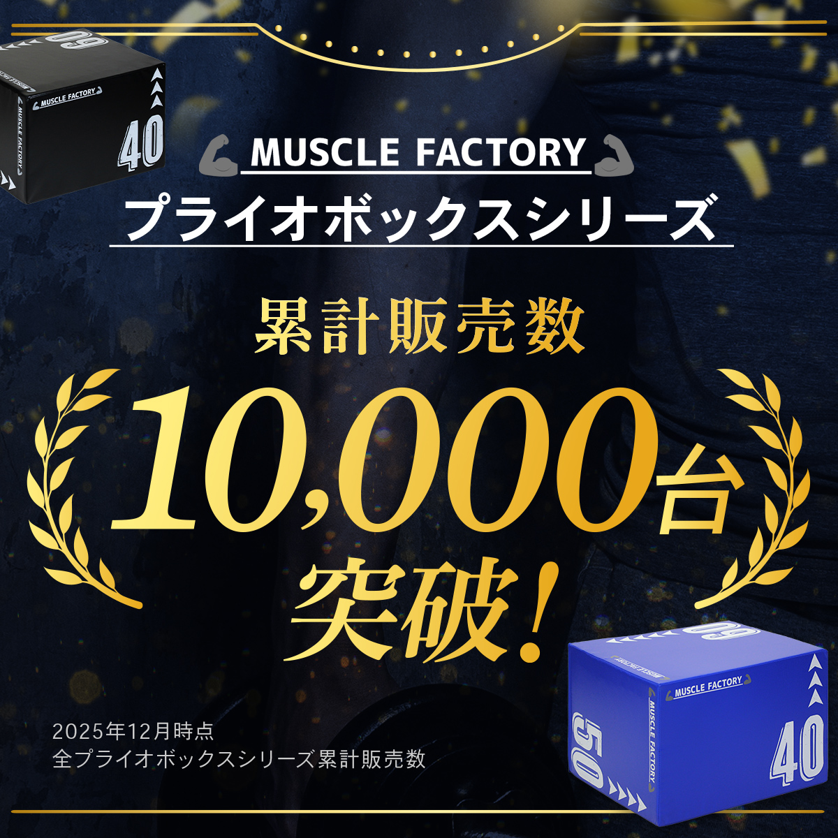 MUSCLE FACTORY ドロップマット 50×70cm 厚さ15cm ダンベルマット