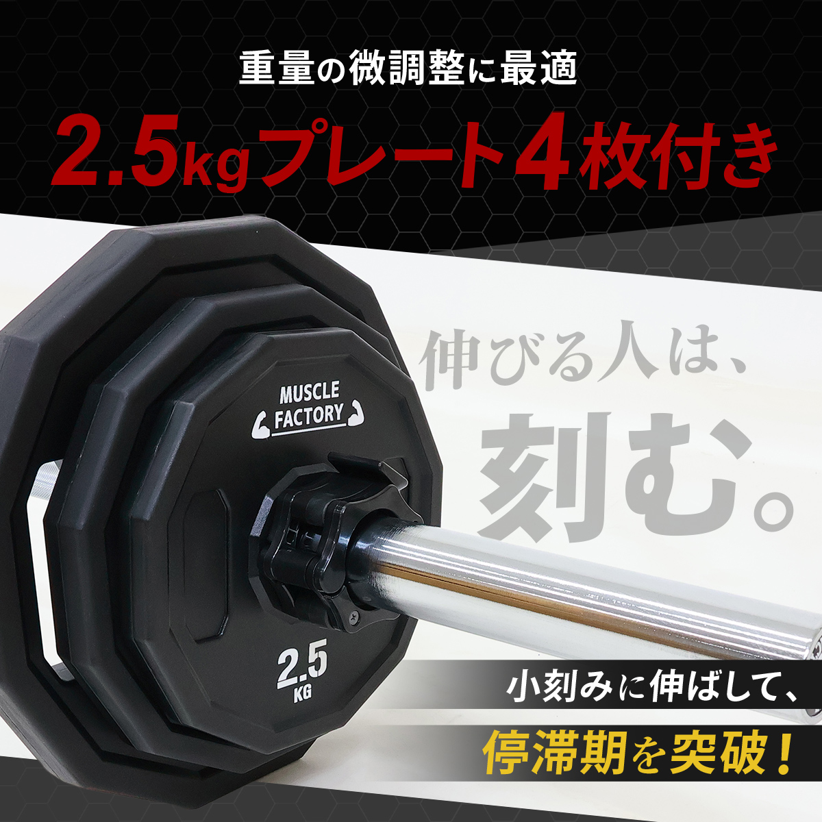 オリンピックバーベルセットのおすすめ人気商品一覧 通販 - Yahoo