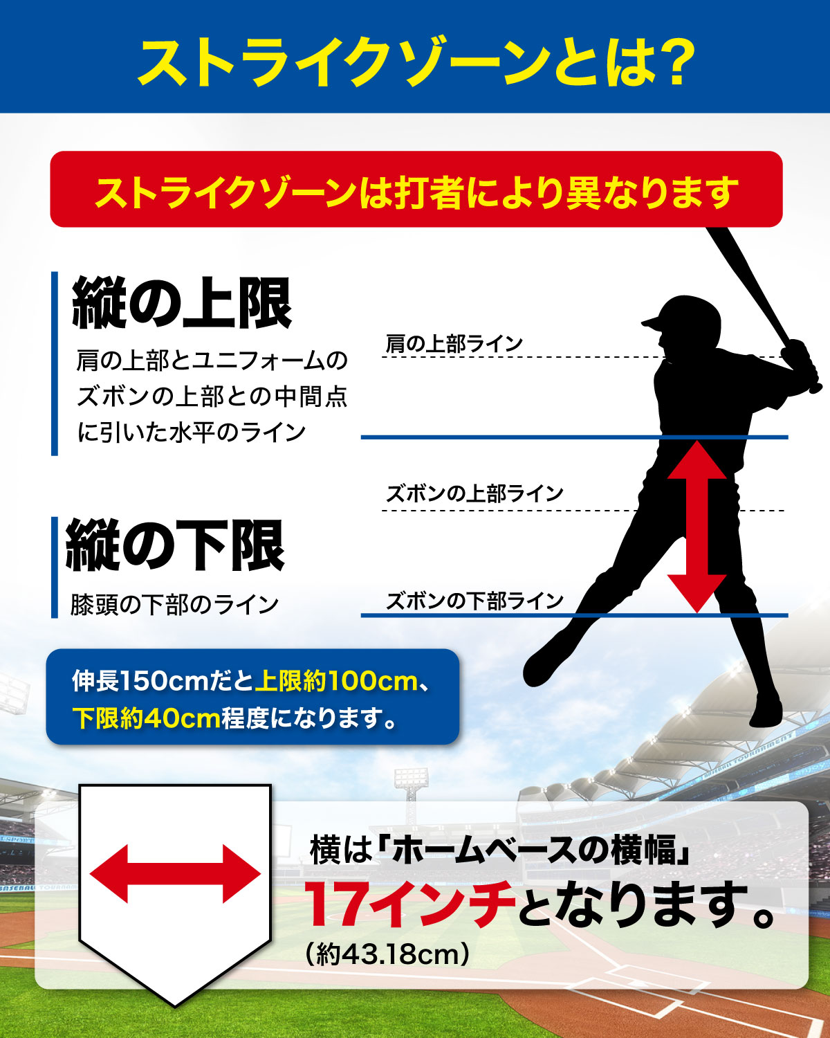 バッティングティー再生ラバータイプ 子供 47〜67cm 段階式 バッティング 練習 打撃 野球 軟式 硬式 ソフトボール 素振り トレーニング 高さ調整 収納袋付き 関連画像5