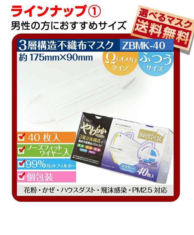 メーカー公式ショップ】 SET_10 オメガ形状プリーツ 使い捨て 10枚×10個セット ほこり マスク