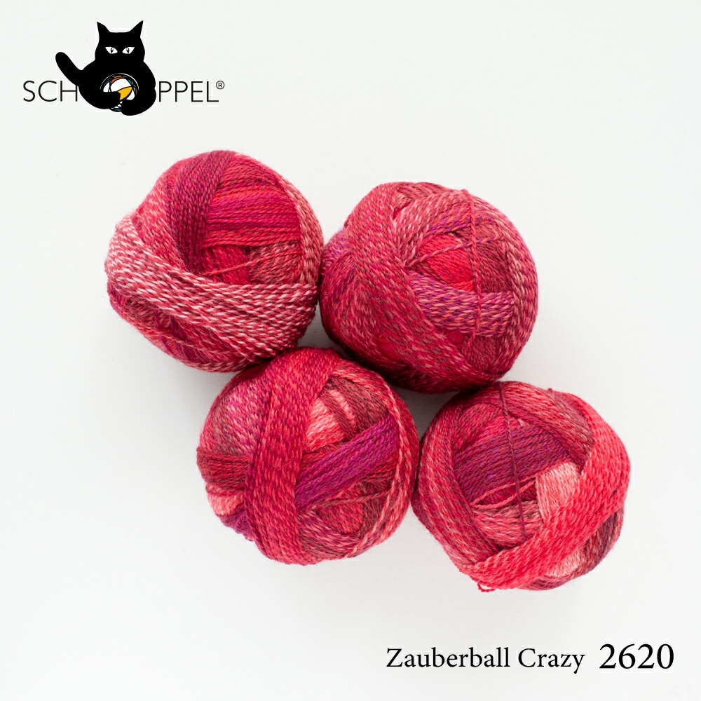 ショッペル SCHOPPEL ZAUBERBALL CRAZY 2620 （ザウバーボール クレイジー） ドイツ製 |  | 01