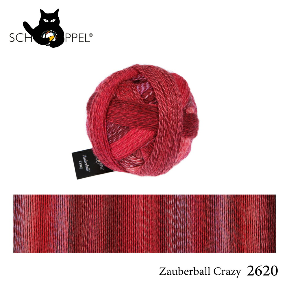 ショッペル SCHOPPEL ZAUBERBALL CRAZY 2620 （ザウバーボール クレイジー） ドイツ製 |  | 02