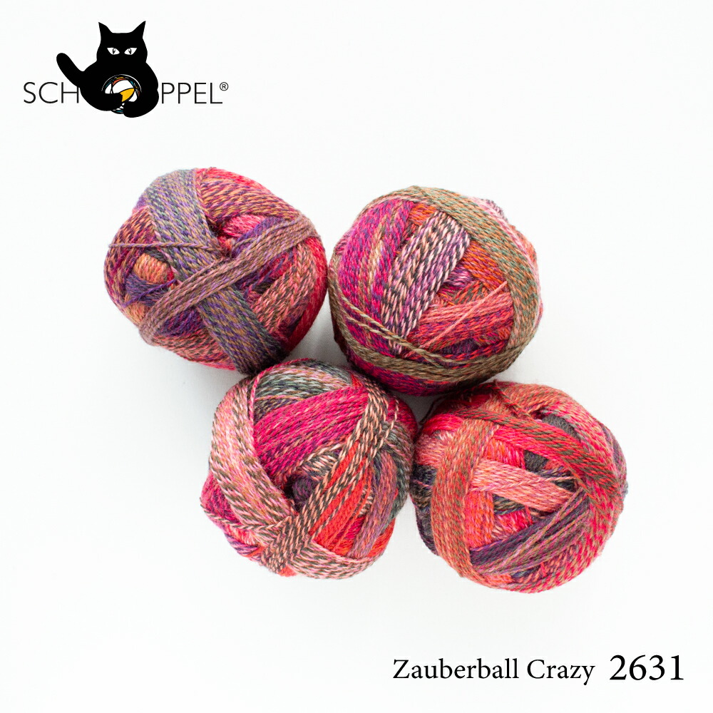 ショッペル SCHOPPEL ZAUBERBALL CRAZY 2631 （ザウバーボール クレイジー） ドイツ製 |  | 01