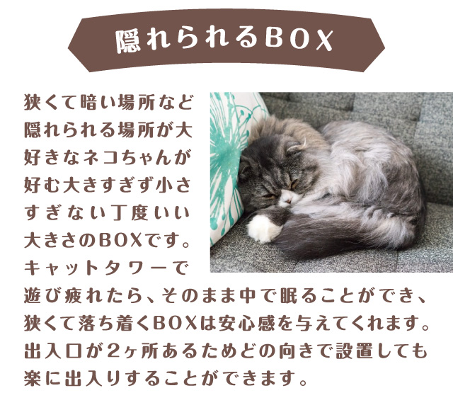 隠れられるBOX　ネコちゃんの体にフィットするサイズ感