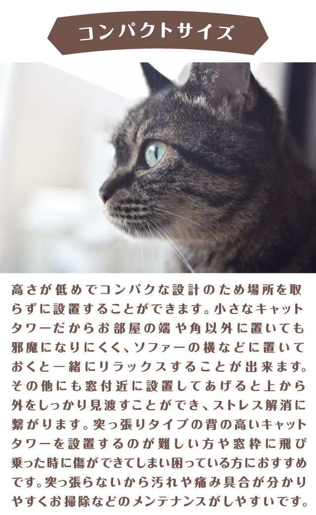 コンパクトサイズ　窓辺においてステップに　メンテナンスがしやすい