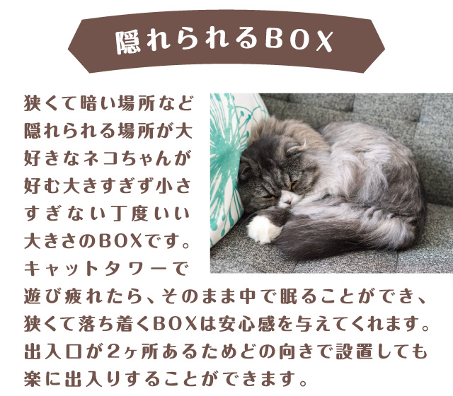 隠れられるBOX　狭くて暗い場所が好きなネコちゃんに