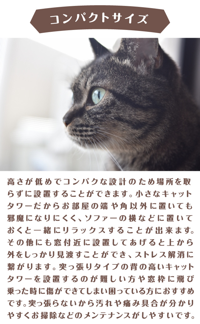 コンパクトサイズ　お部屋の端や角、ソファー横において一緒にリラックス