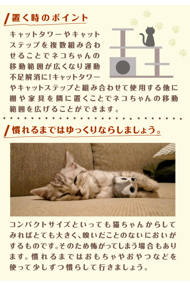 キャットタワーやキャットステップ家具を使って運動不足解消　ネコちゃんにしてみれば大きなもの、おもちゃやおやつを使って慣らしましょう