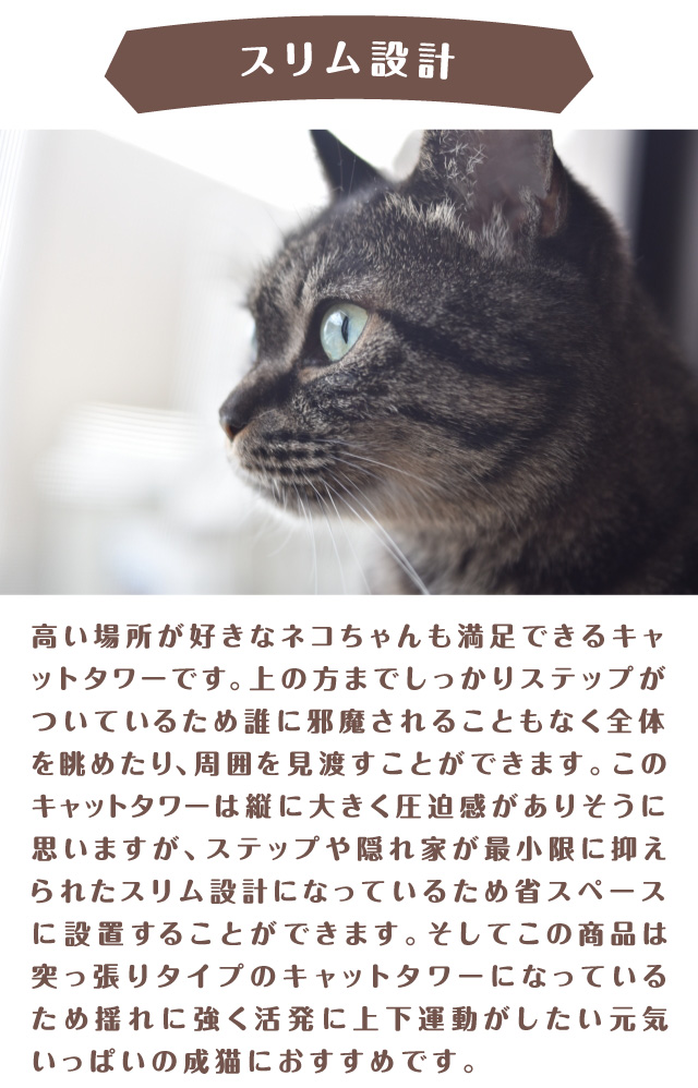 スリム設計　上部までしっかりと上り下りできるため元気いっぱいの成猫にもおすすめ