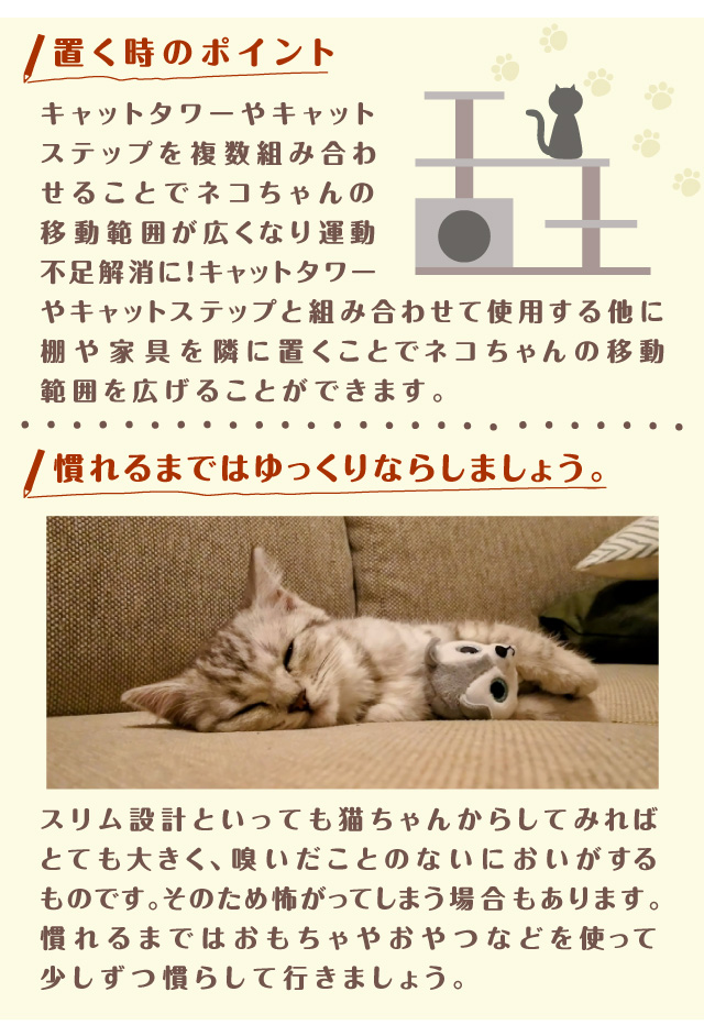 キャットタワーやキャットステップ家具を使って運動不足解消　ネコちゃんにしてみれば大きなもの、おもちゃやおやつを使って慣らしましょう