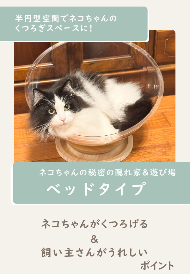 猫グッズや猫ベッド Amazon | TanYoo 猫 ベッド ペットベッド 犬 ベッド 猫