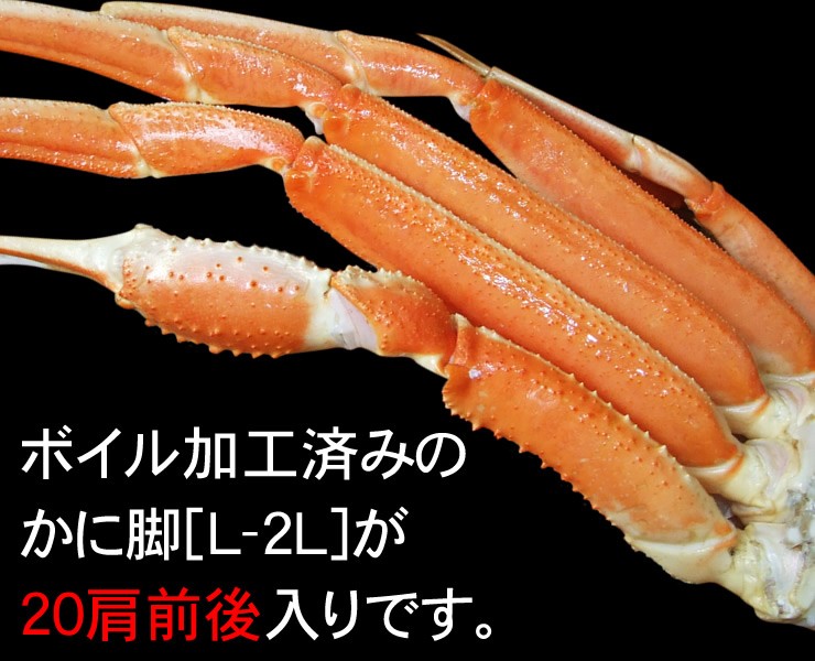 かに カニ 蟹 セット ズワイガニ 脚 ボイル ５ｋｇセット 送料無料