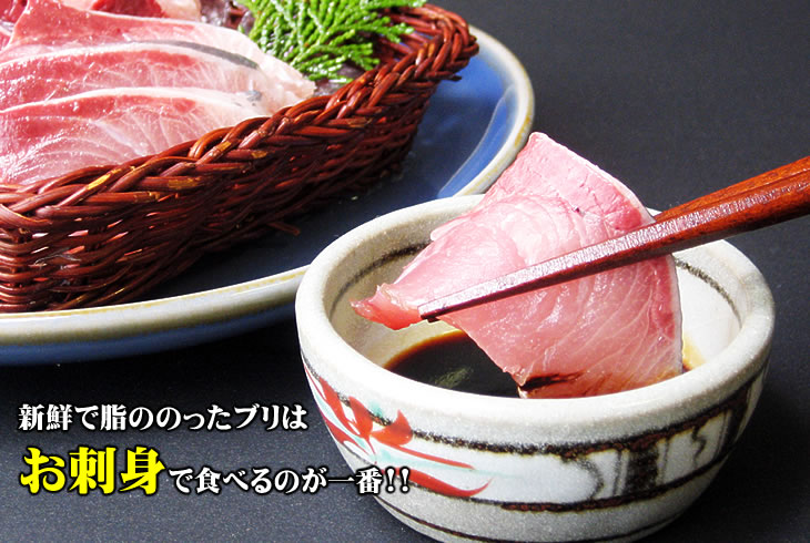 本物を追求する フォーシーズン 本店 鮮魚 日本海産 天然ブリ 生 1匹 3ｋｇ程度 お刺身 塩焼き