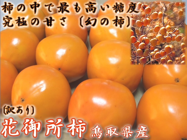 花御所柿 訳あり ５ｋｇ へたすき 送料無料 鳥取県特産品 常温 はなごしょ かき 柿 カキ :hanagoshokakib5k:本物を追求する  フォーシーズン - 通販 - Yahoo!ショッピング