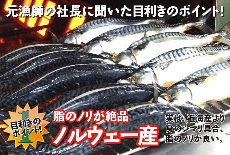 山陰・日本海の味 焼さば 300g前後 焼きたて直送便 サバ 鯖