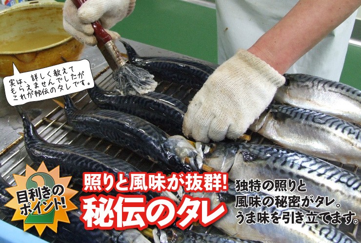 山陰・日本海の味 焼さば 300g前後 焼きたて直送便 サバ 鯖