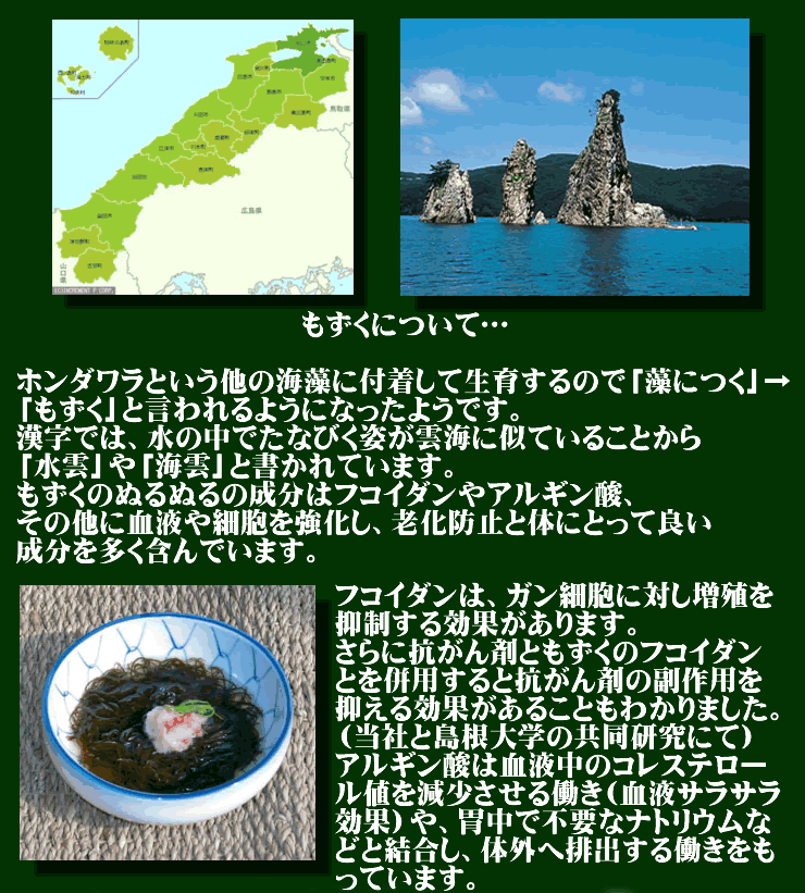 栄養満点 天然味付岩もずく 土佐酢仕上げ 500g島根県隠岐の島産岩モズク 冷凍 Okiiwamozuku500g1300 本物を追求する フォーシーズン 通販 Yahoo ショッピング