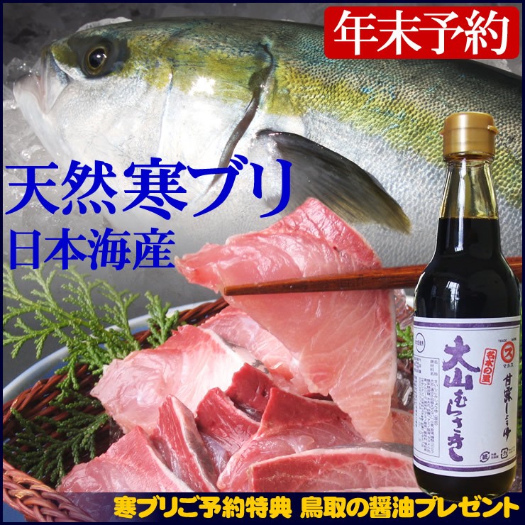 うまかぶり 寒ブリ 養殖 ギフト ブリ 1匹 鰤 プレゼント ブリ大根 活締め 5kg前後