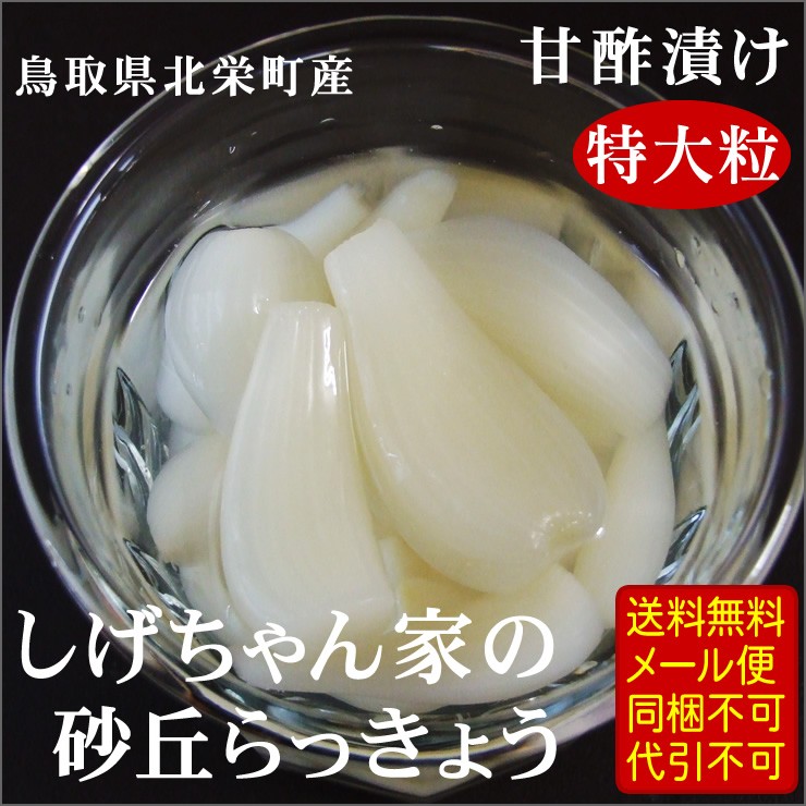 キャンディページです。 砂丘らっきょう　大粒　Ｌ〜２Ｌ以上 楽天市場】鳥取 砂丘 らっきょう lサイズの通販