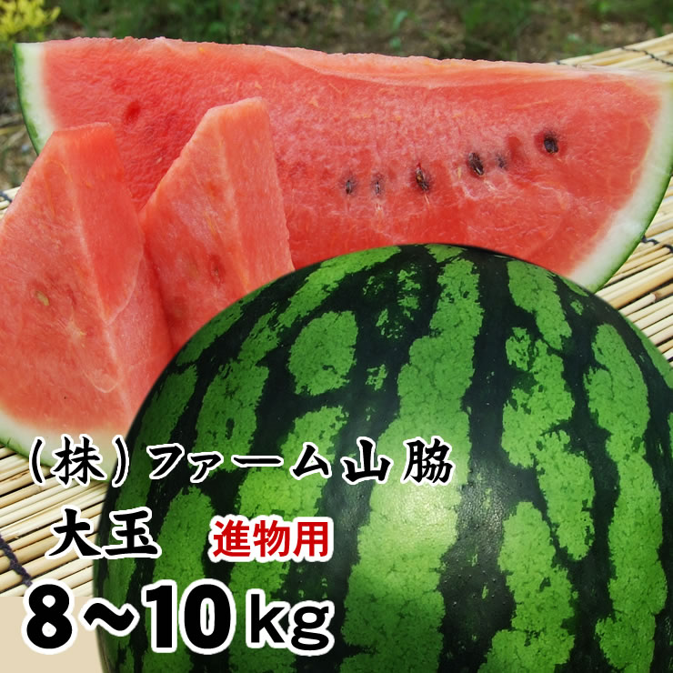 ギフト スイカ 西瓜 送料無料 進物用 鳥取 河本農園 大玉スイカ