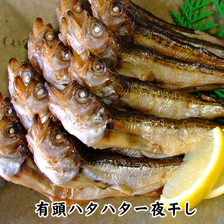 ハタハタ