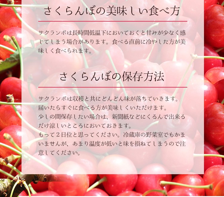 訳あり さくらんぼ 佐藤錦 1kg M Lサイズ 秀 優品込み 送料無料 山形県産 サクランボ 産地直送 Z 旬の食卓 通販 Yahoo ショッピング