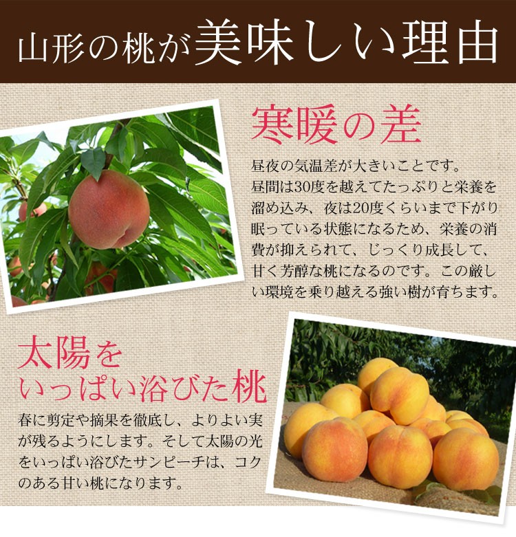 桃 おどろき 秀品 送料無料 3kg 山形県産 硬い もも 産地直送 : 旬の
