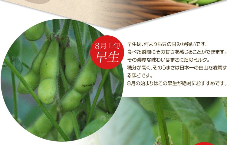 早生