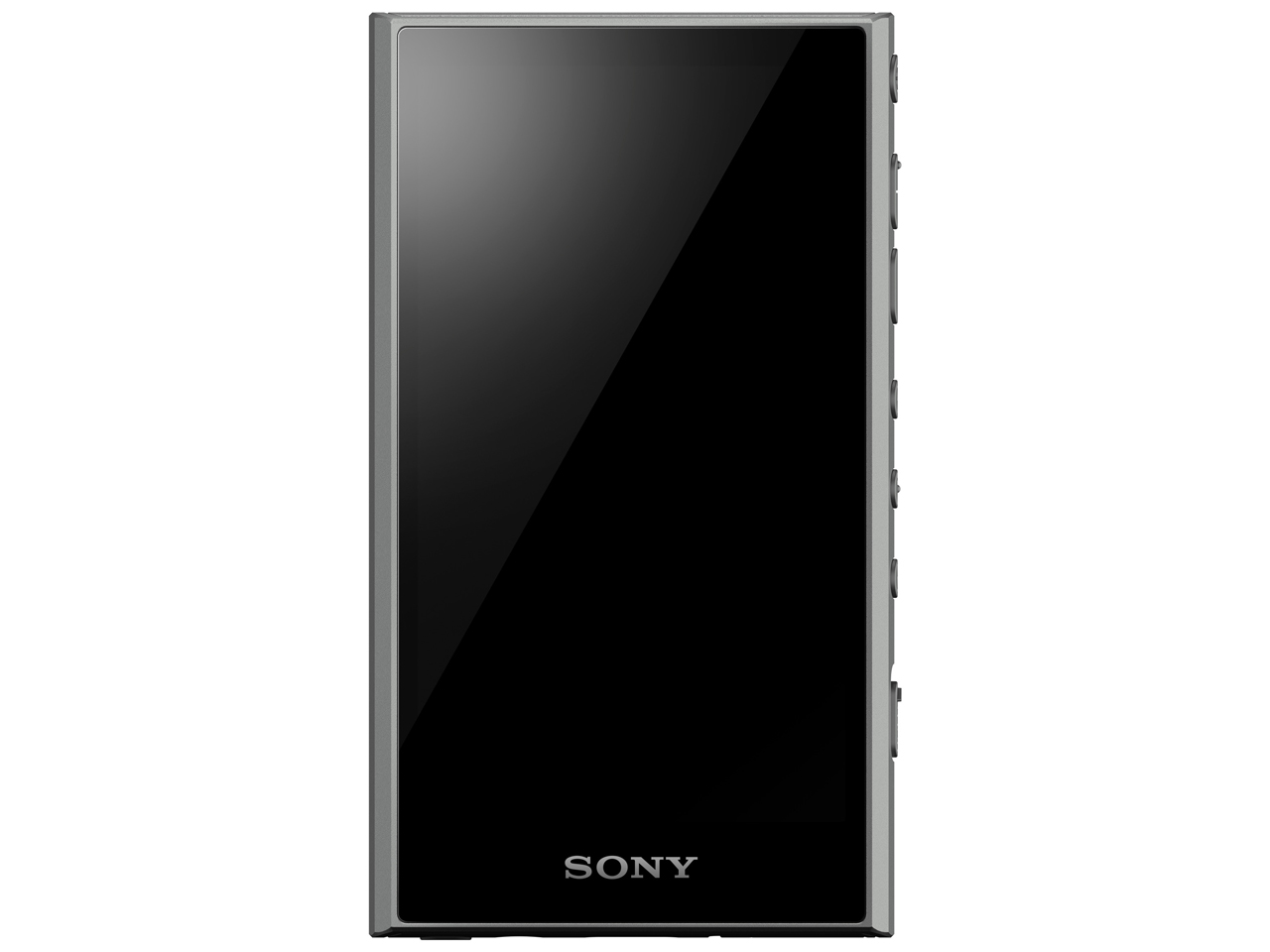 Sony ウォークマン A300シリーズ NW-A306 (H) [32GB グレー] 即納OK