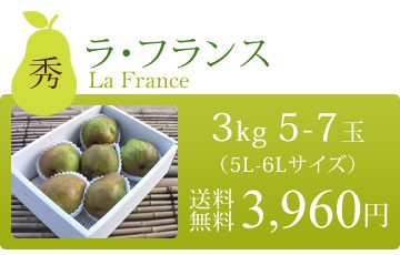 ラフランス 大玉 5-6L 秀品 3kg 山形県 上山産 産地直送