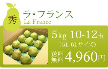 ラフランス 大玉 5-6L 秀品 5kg 山形県 上山産 産地直送