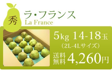 ラフランス 2-4L 秀品 5kg 山形県 上山産 産地直送