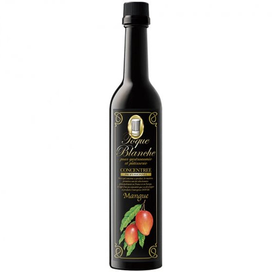�M�t�g �v���[���g TOQUE BLANCHE �g�b�N�u�����V�� �}���S�[ 490ml �h�[�o�[�m��f�� �Z�k�ʏ` �m���A���R�[���V���b�v