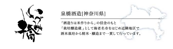  泉橋酒造「いづみ橋」（神奈川）