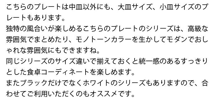 スレート調プレート　中皿