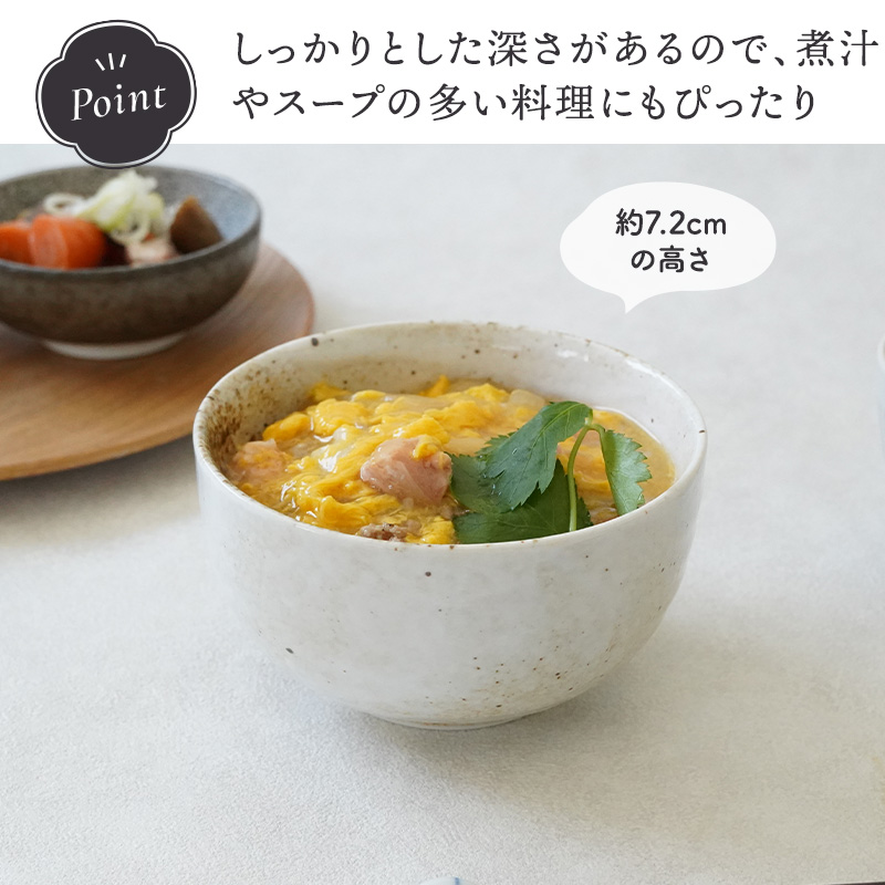 多様どんぶり 17cm 950cc 膳ZEN