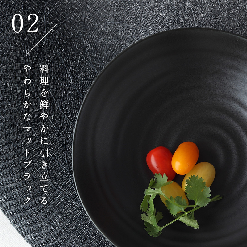 EASTオリジナルカレー・パスタ皿お得な10枚セット