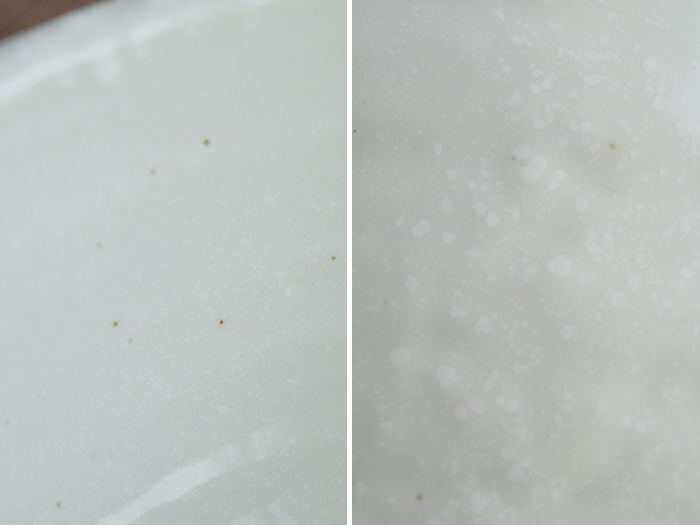 特大　さぬき丼ぶり