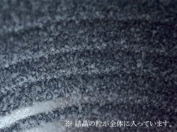 特大　さぬき丼ぶり